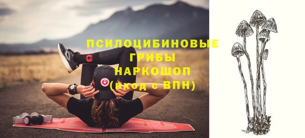 твердый Арсеньев