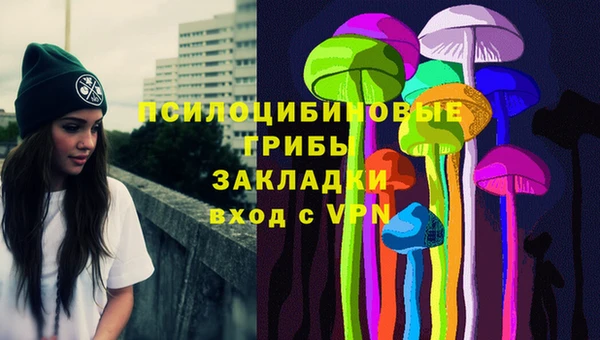 твердый Арсеньев