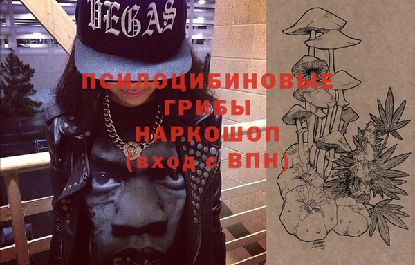 ГАЛЛЮЦИНОГЕННЫЕ ГРИБЫ Алзамай