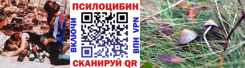 Галлюциногенные грибы мицелий где купить наркоту ссылка на мегу tor Тавда